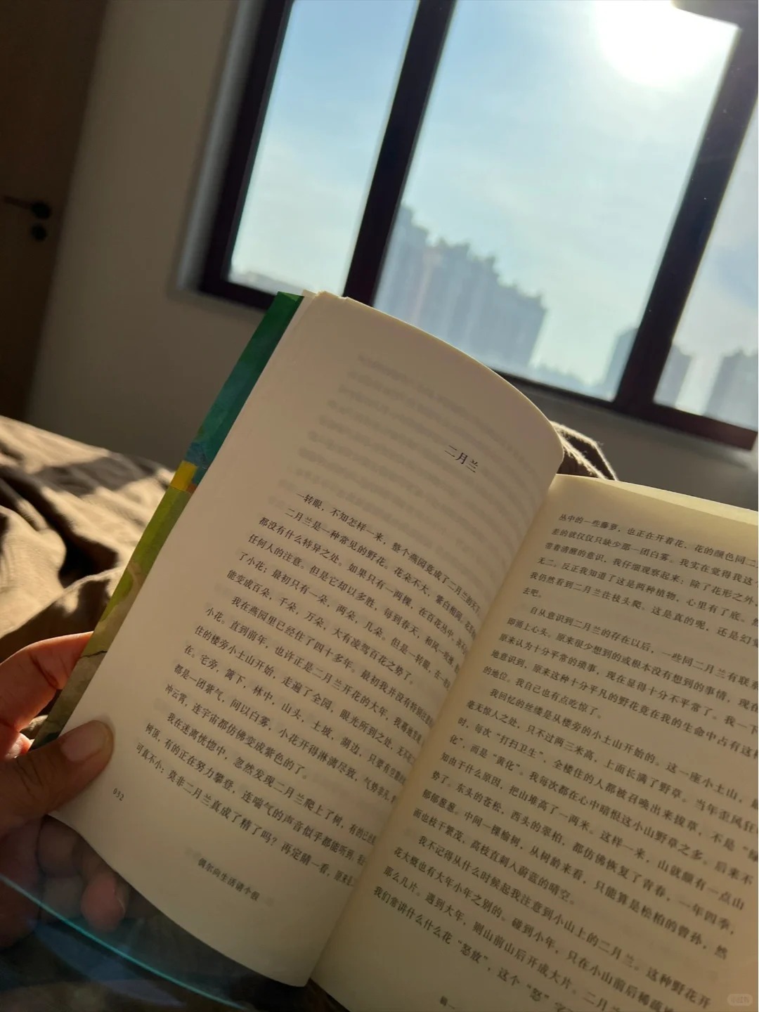 日记配图